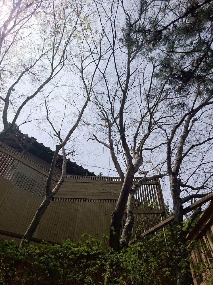 La Maison De David Yufu Eksteriør bilde